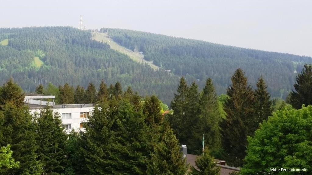 App 507 Bocksbergblick Im Ferienpark Hahnenklee Haus 1 Goslar Buitenkant foto