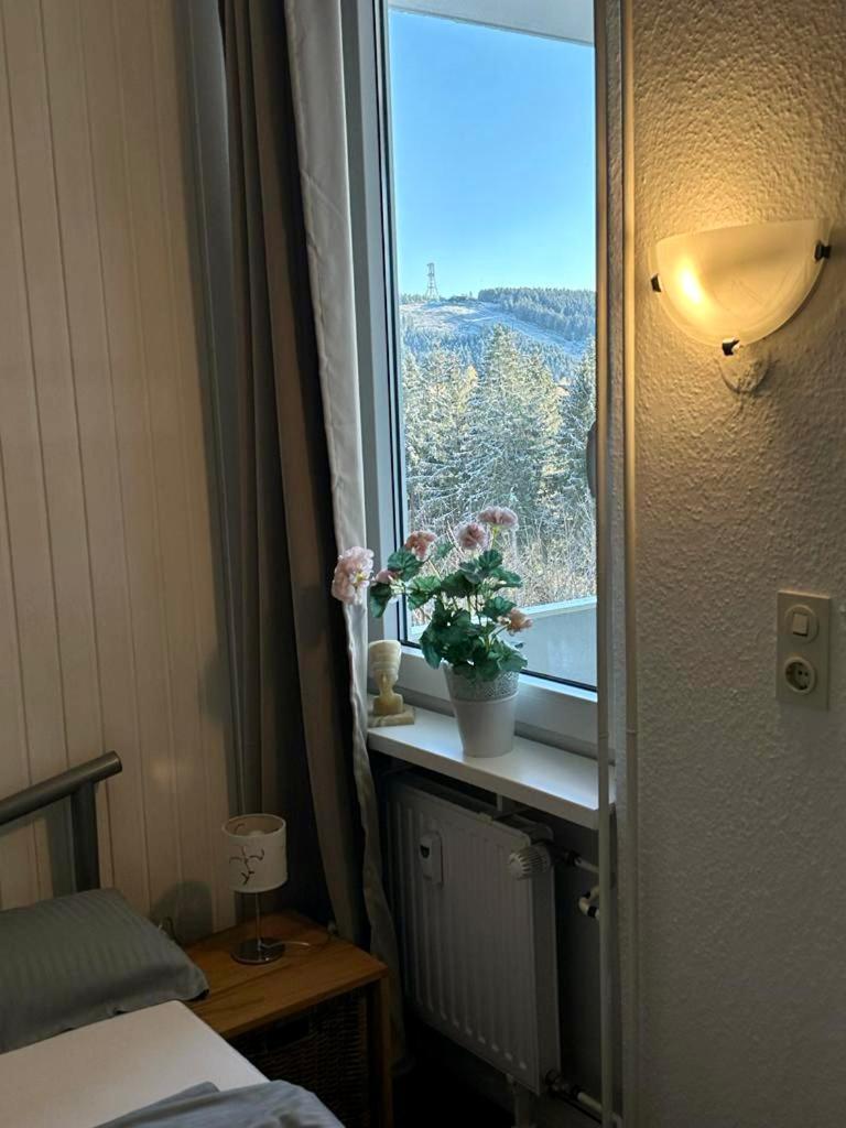 App 507 Bocksbergblick Im Ferienpark Hahnenklee Haus 1 Goslar Buitenkant foto