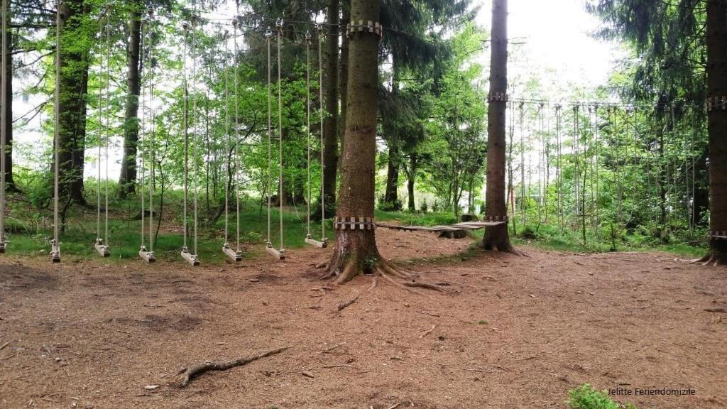 App 507 Bocksbergblick Im Ferienpark Hahnenklee Haus 1 Goslar Buitenkant foto